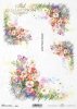 bratek, kolorowe bratki, kwiat, ogród, łąka, wiosna, autorka grafiki Maria Kopeć, R899, pansy, colourful pansies, flower, garden, meadow, spring, Stiefmütterchen, bunte Stiefmütterchen, Blume, Garten, Wiese, Frühling, pensamiento, pensamientos de colores,